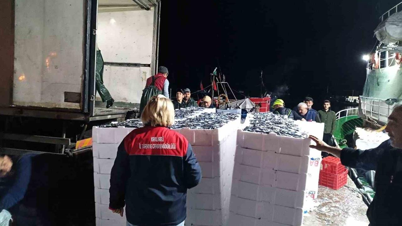 Kırklareli Demirköy'deki Hamsi Denetiminde Hiçbir Olumsuzluk Tespit Edilmedi