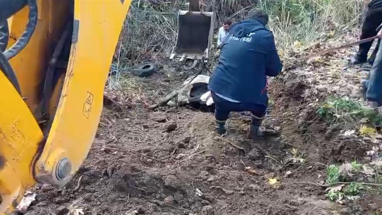 Hatay Kırıkhan'da Dereye Düşen İnek İtfaiye Ekipleri Tarafından Kurtarıldı