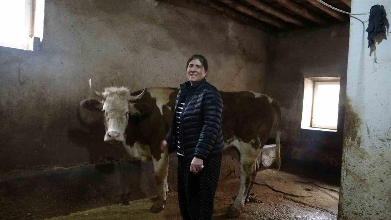 Tunceli Hozat'ta 8 Erkek Adayı Geride Bırakan Kadın Muhtar Başarıyla Seçildi