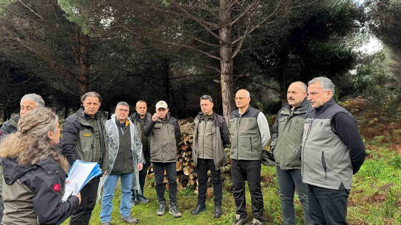 Sinop'ta Ormancılık Faaliyetleri İçin İncelemelerde Bulunan Heyet Bilgilendirmelerde Bulundu.
