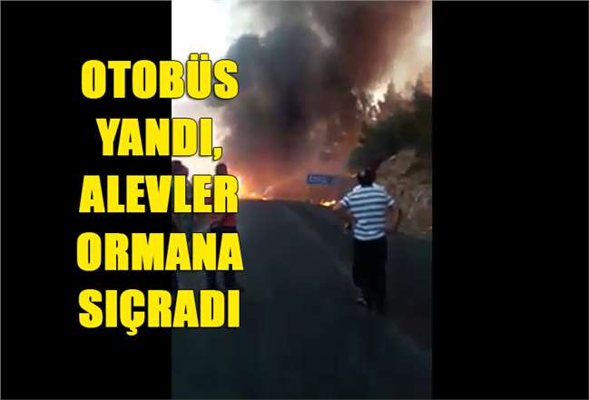 Mersin'de Otobüs Yangını, Ormanlık Alana Sıçradı