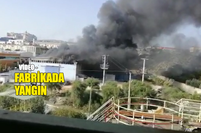 Mersin Organize Sanayinde Fabrika Yangını Videosu