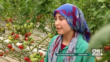 Merak Edilenlerle, Türkiye'nin Yerli Tohum Üretiminde Merak Edilen Her Şey