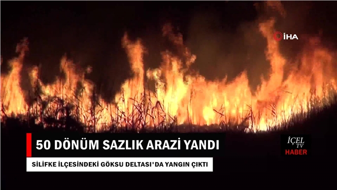 Göksu Deltası’nda Yangın:50 Dönüm Sazlık Arazi Yandı