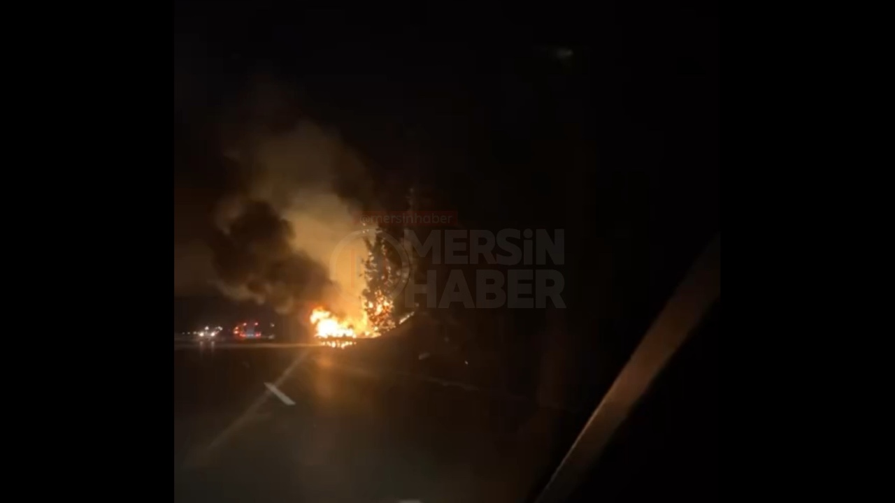 Kaza Sonrası Araç ve Ağaçlar Yandı