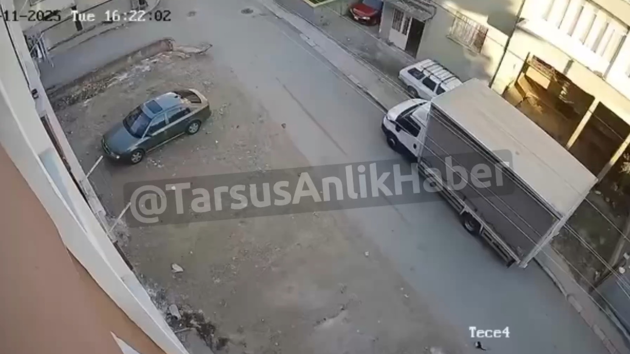 Tarsus Yeşilyurt Mahallesi'nde Tüp Kamyoneti Kediyi Ezdi!