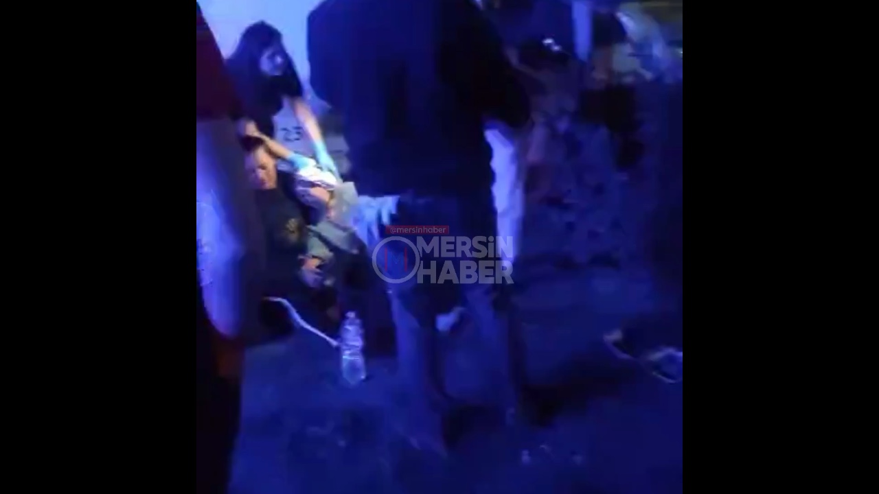 Yakaköy'de Kontrolü Kaybeden Minibüs Ağaca Çarptı, Kadın Yaralandı