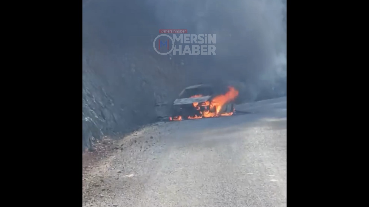 Mersin Yenişehir Değirmençay Yolunda Yangın Kontrol Altına Alındı. Video Haber