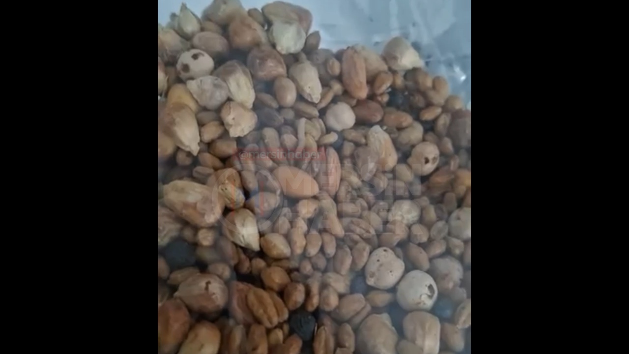 Mersin'de Hamile Kadının Aldığı Paketli Çerezde Canlı Kurt Bulundu. Video İçin Tıklayın