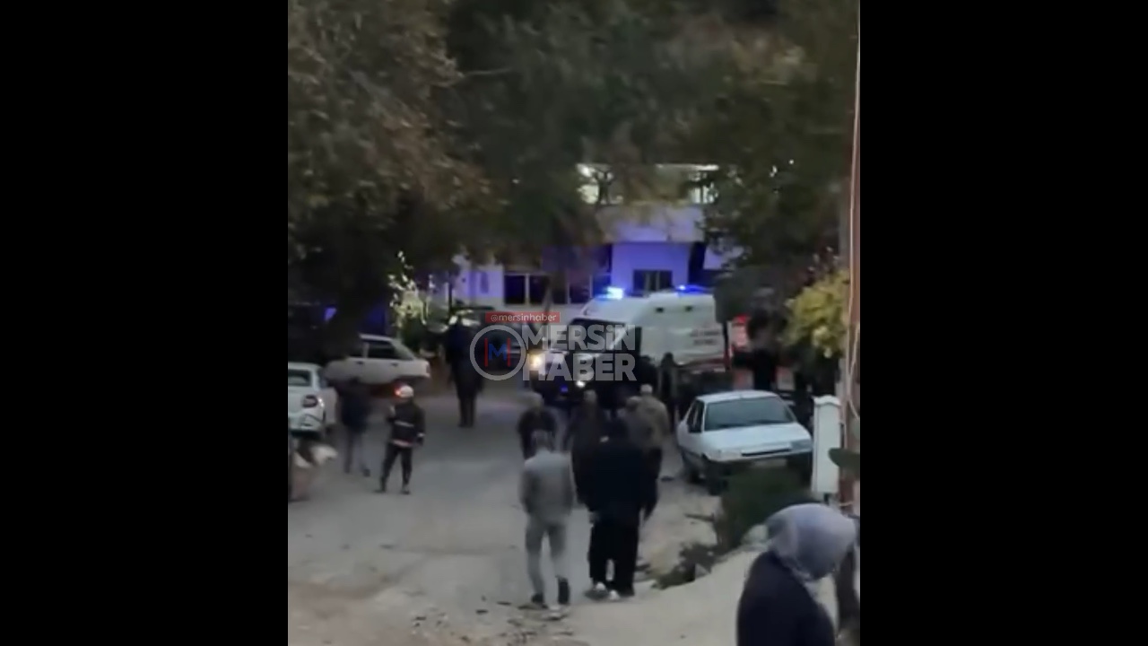 Mersin Erdemli'de Freni Boşalan TIR, 5 Hayvanın Telef Olmasına Neden Oldu.. Video Haber