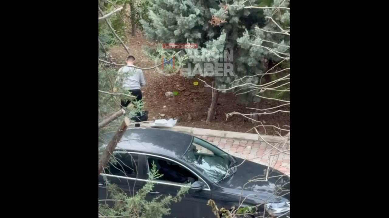 Mersin Yenişehir'de Sokak Hayvanları İçin İyilik Hareketi Görüntülendi